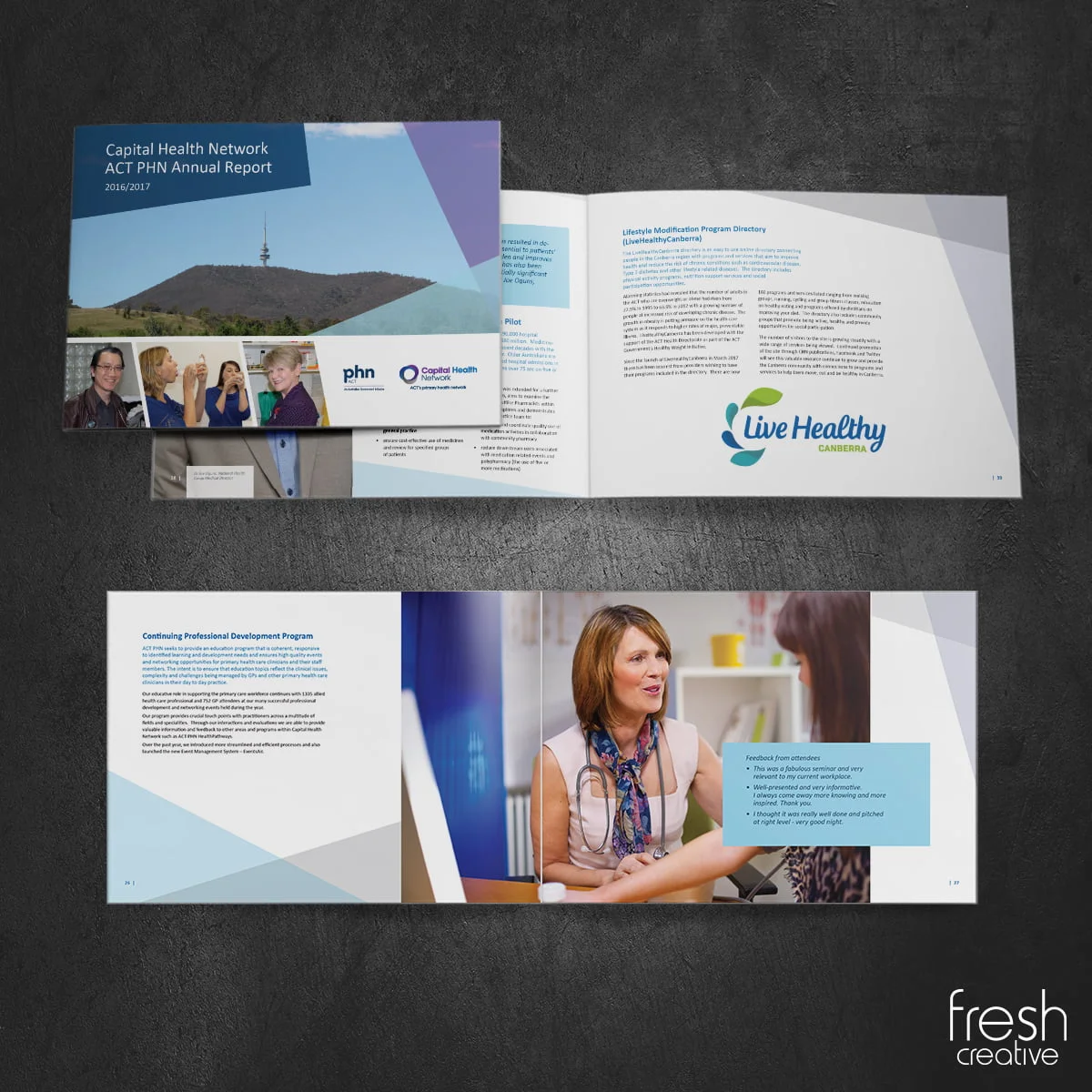 Capital Health Network annual report