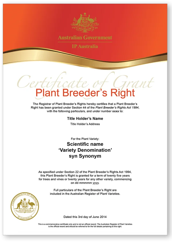 Plant Breeder's Right Certificate