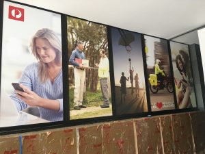 Custom Made Large Window Film in Canberra by Fresh Creative