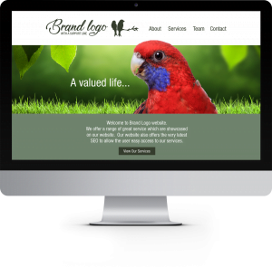 Website design service Canberra