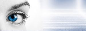 Fresh Creative is a Design, Websites, signage and marketing located in Canberra banner with eye