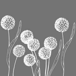 floral-glazing-films-canberra