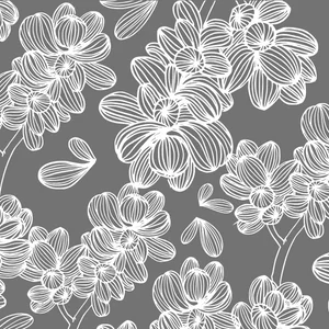 patterned-glazing-films-canberra