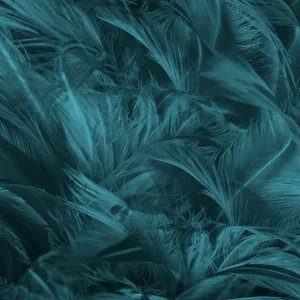 feather-wallpaper-patterns