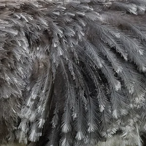 feather-wallpaper-patterns