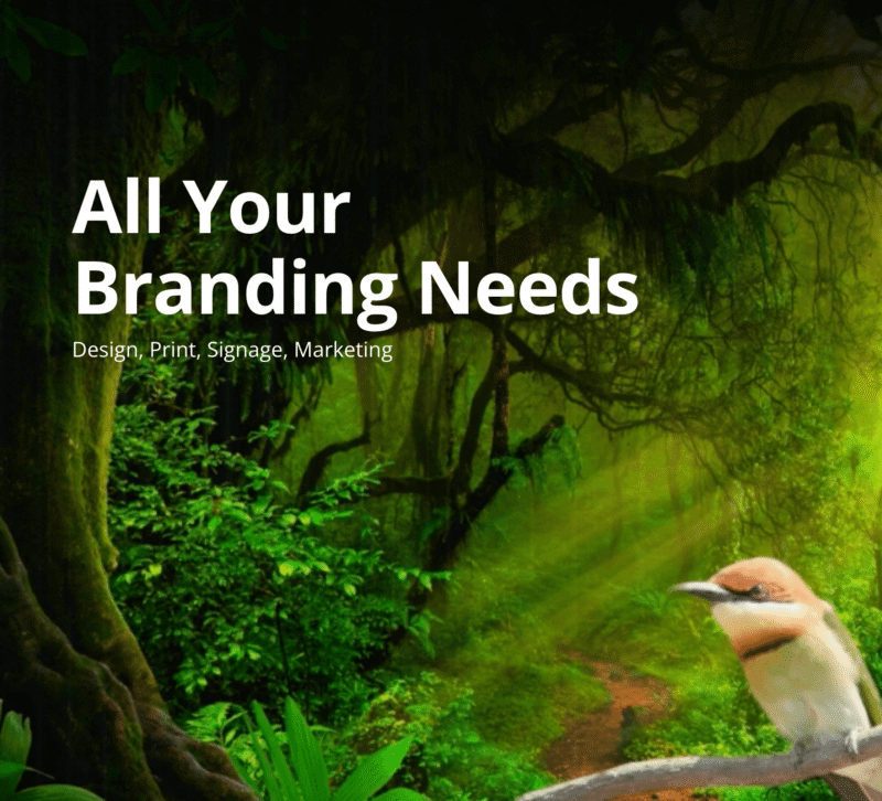 Best Design, Print, and Signage in Canberra